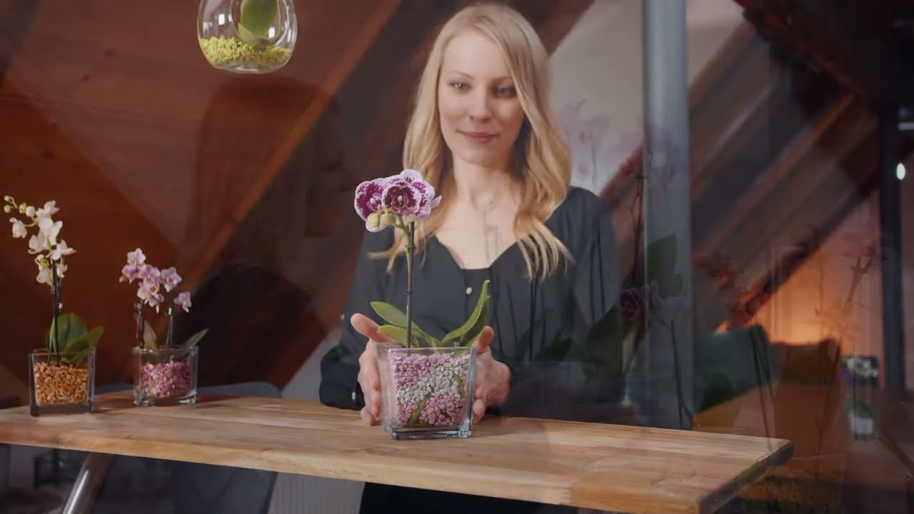 concime per orchidee va bene per altre piante