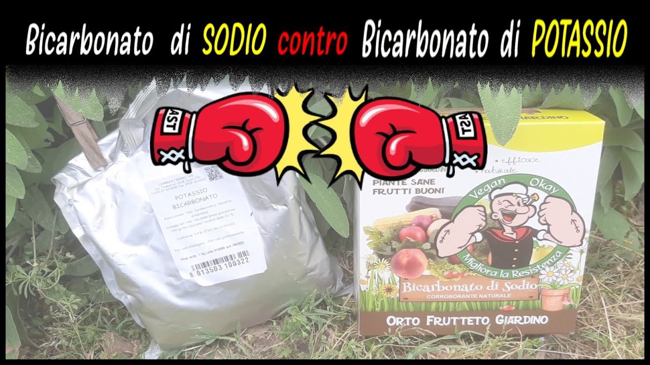 bicarbonato di sodio in agricoltura dosi