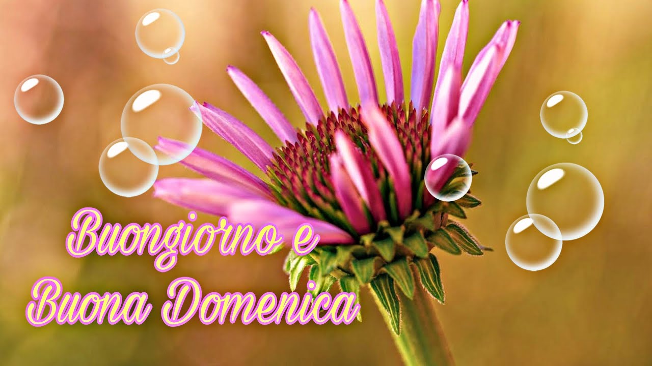 buongiorno e buona domenica con caffè