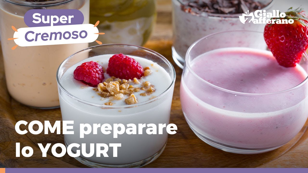 fermenti lattici per fare lo yogurt