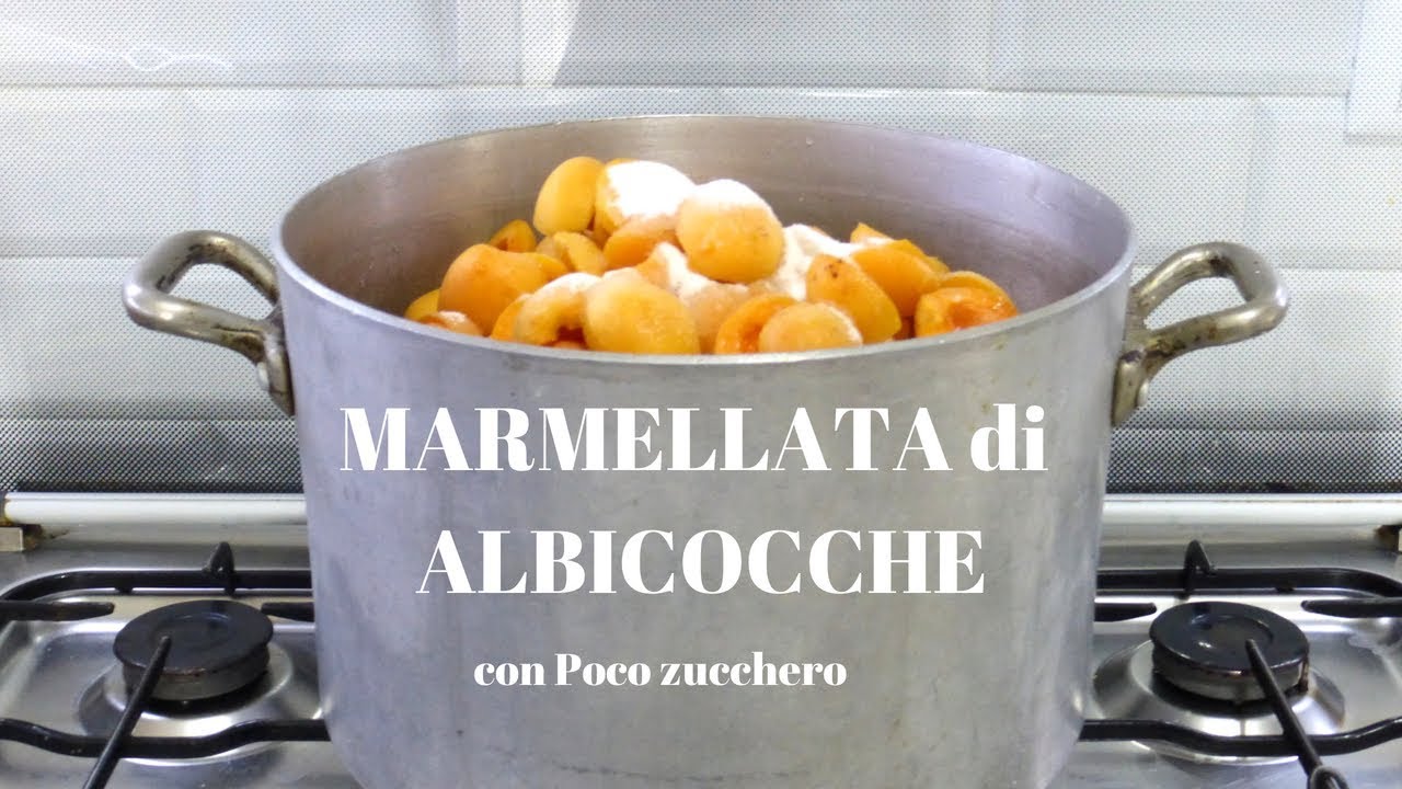 marmellata di albicocche bimby con poco zucchero