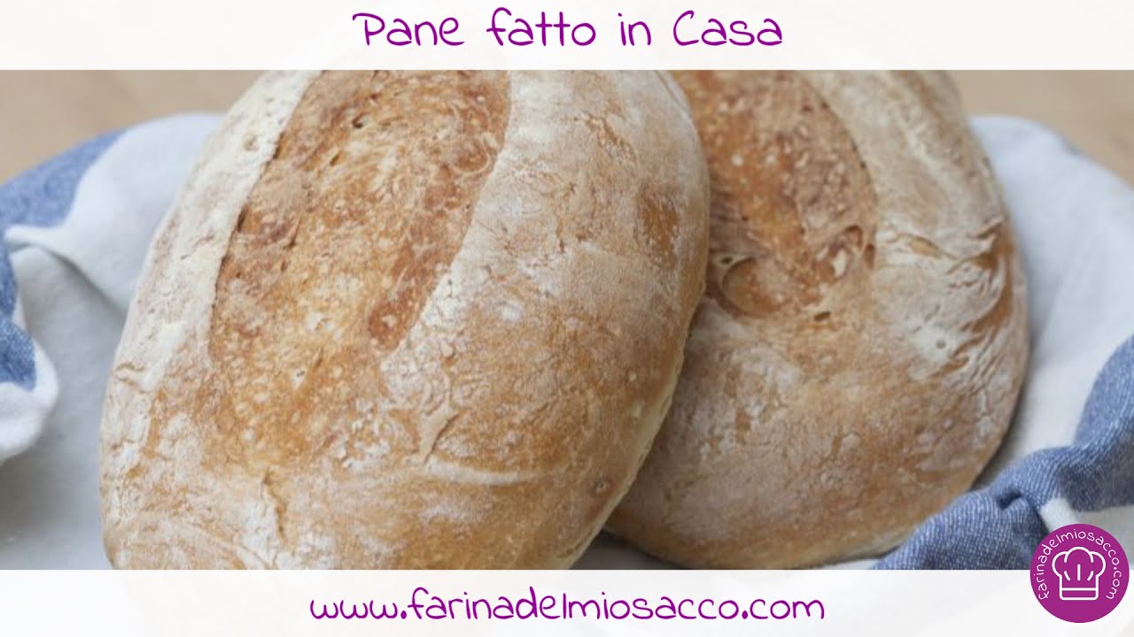 pane con planetaria e lievito secco