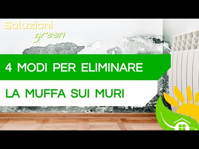 prodotto per la muffa sui muri