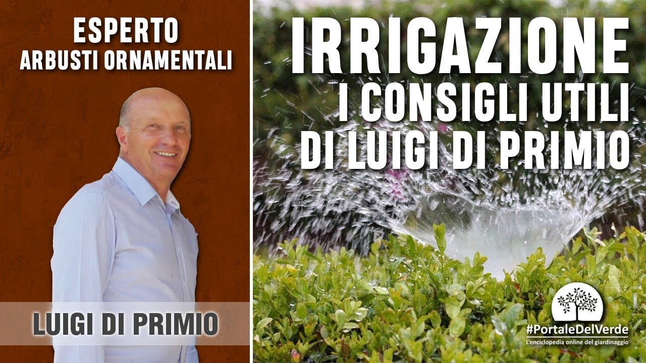 quanta acqua in un vaso da 11 litri