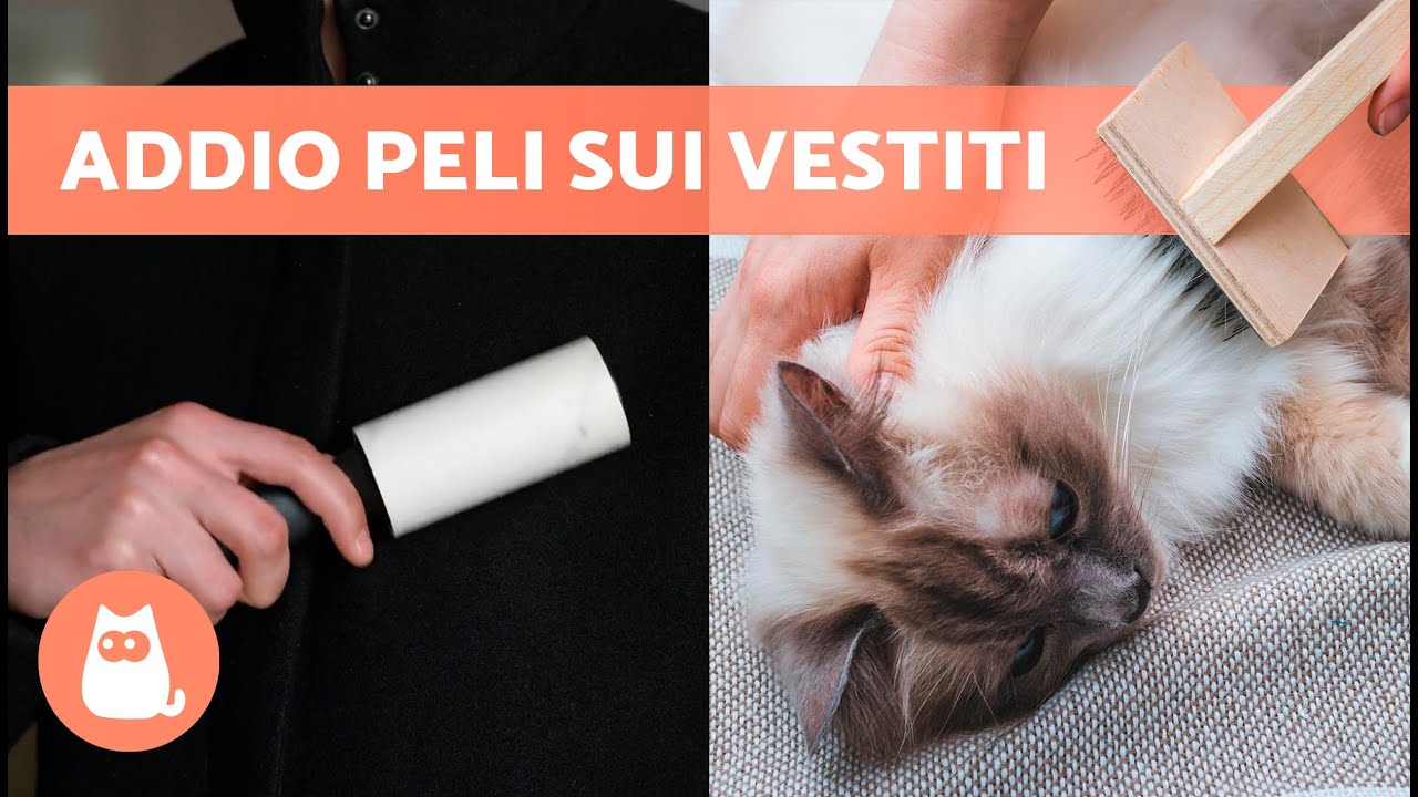 spazzola per togliere peli dai vestiti
