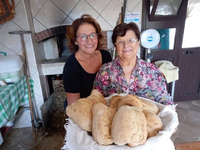tempo cottura pane in forno a legna