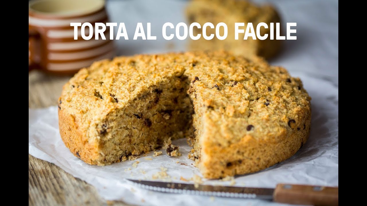 torta vegana con gocce di cioccolato