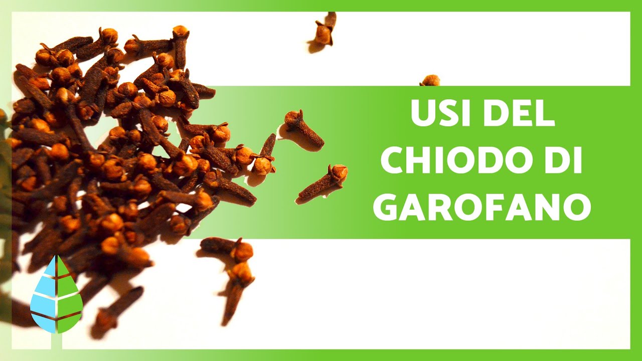 chiodi di garofano dove si comprano