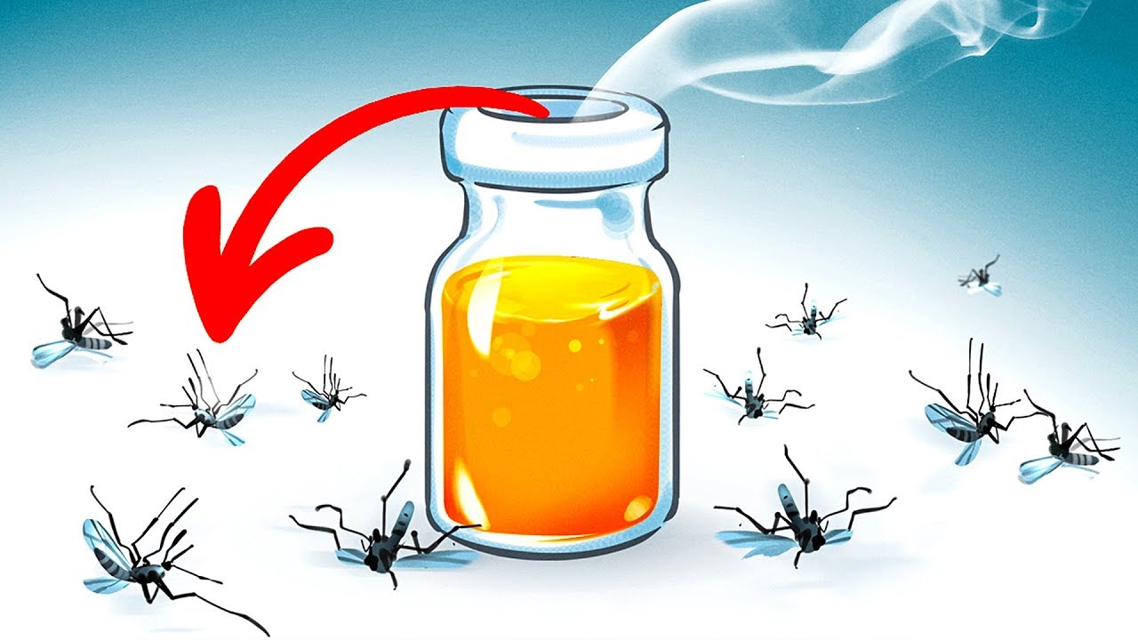 come tenere lontane le zanzare dal giardino