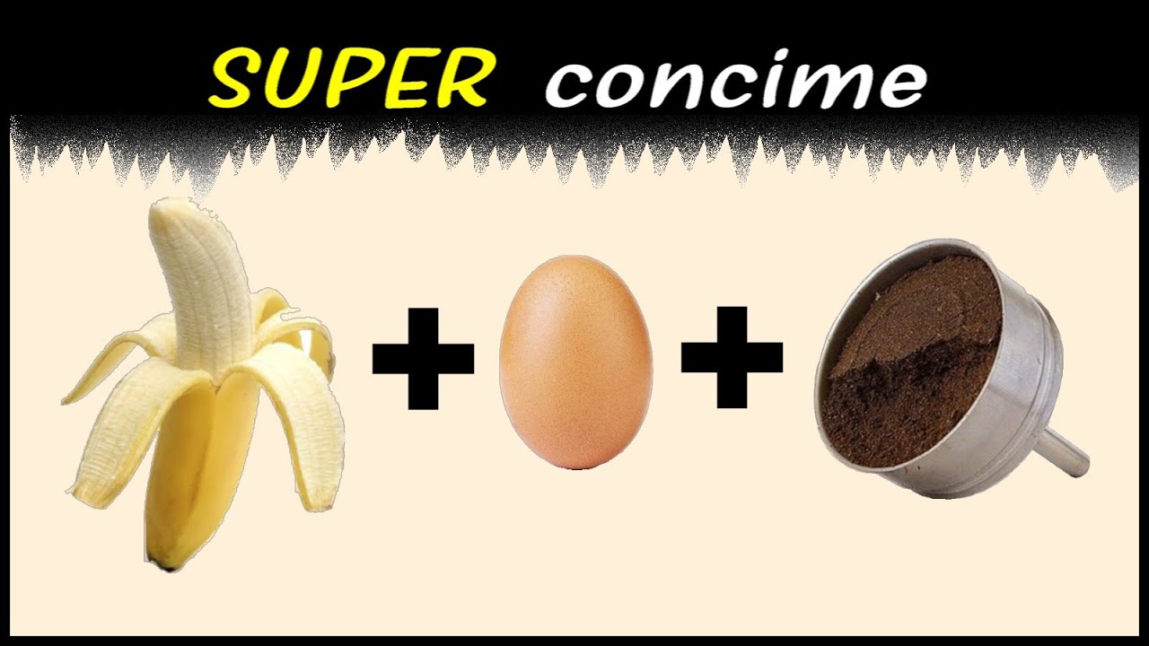 concime per cycas fai da te