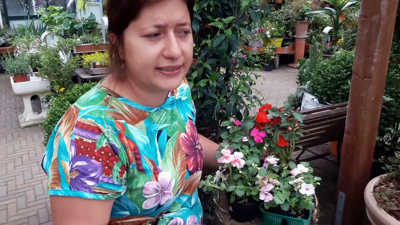 fiori simili ai fiori di vetro