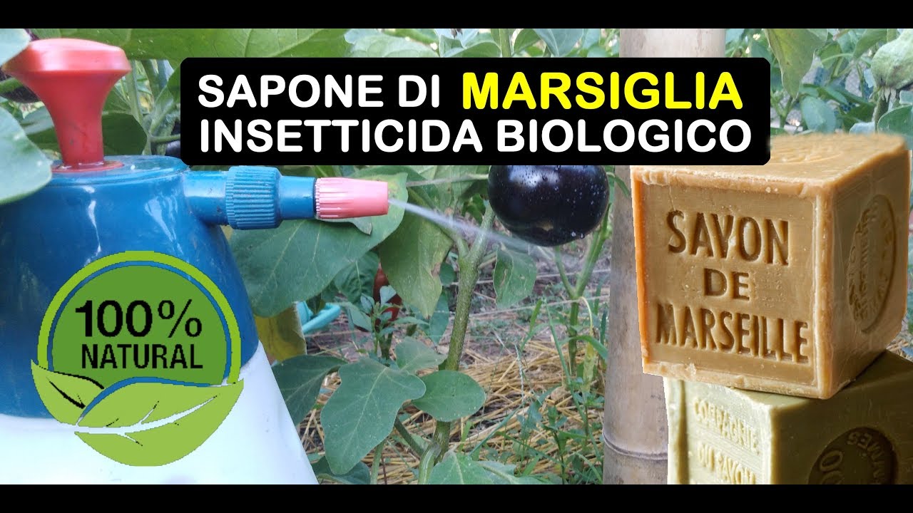 sapone di marsiglia per piante dosi