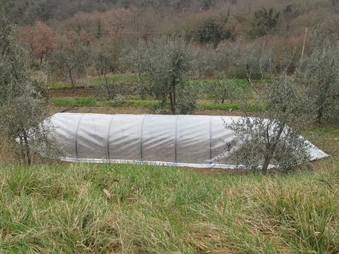serra fai da te tubi pvc