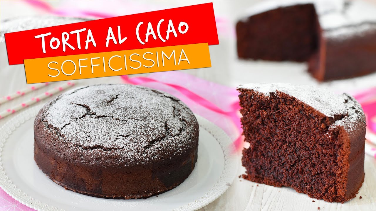 torta con il cacao in polvere