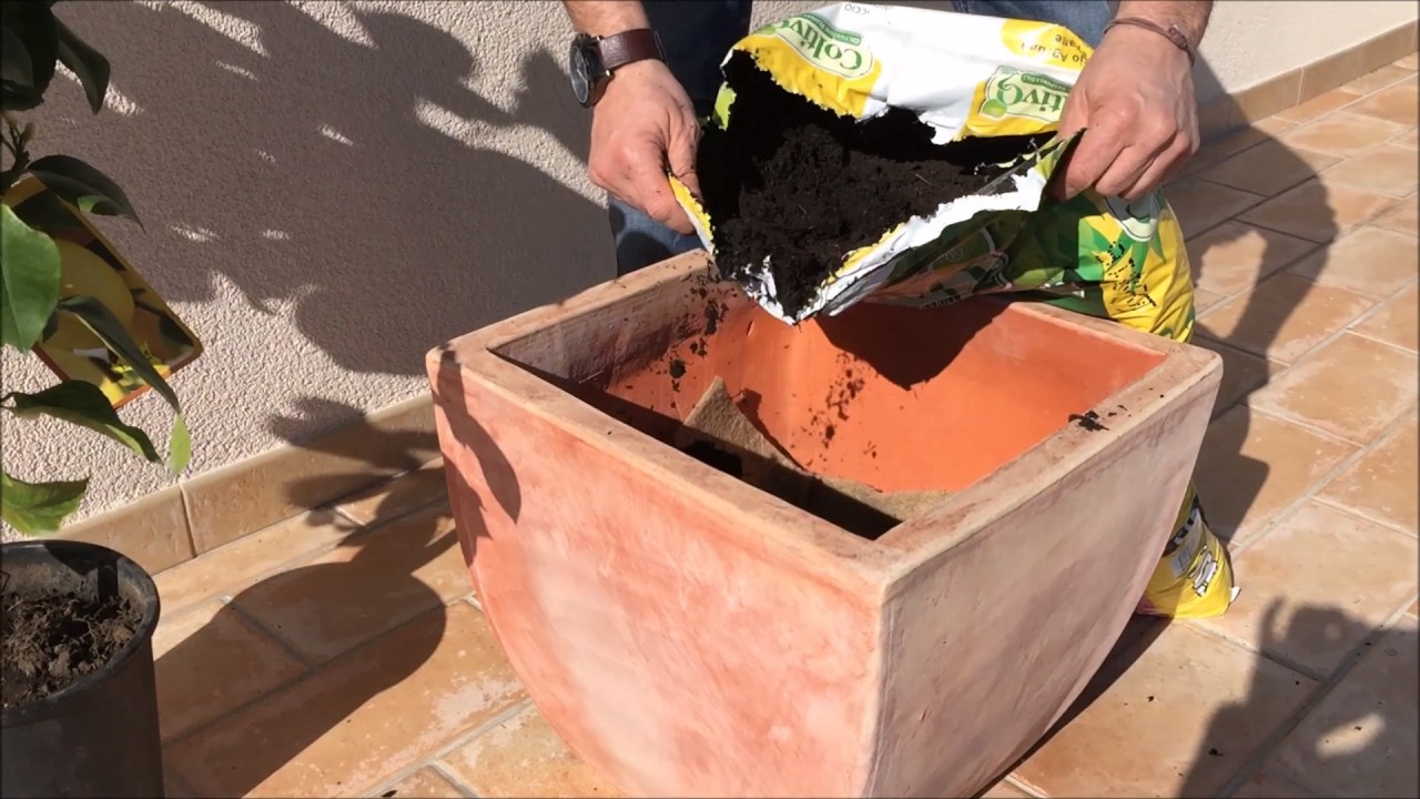 vasi da terra alti da interno